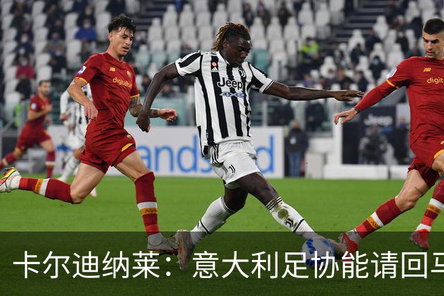 卡尔迪纳莱：意大利足协能请回马尔蒂尼，说明他们开始醒悟了